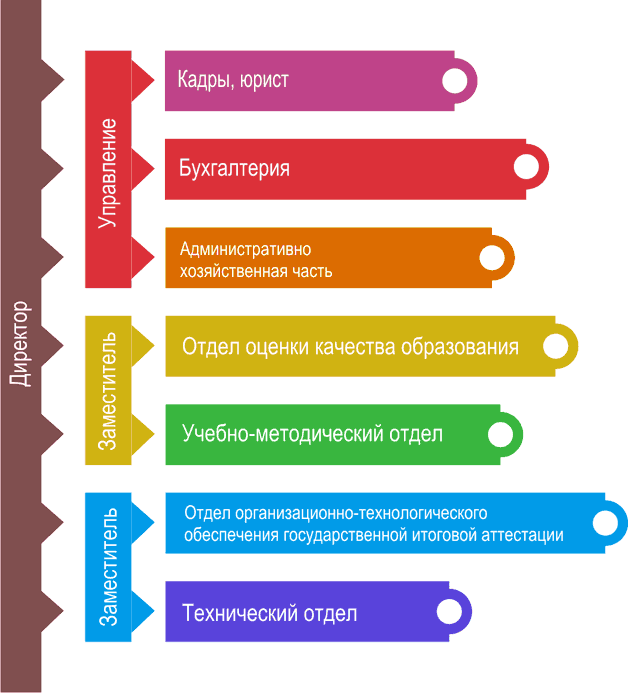 Структура организации